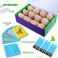 Dig Up Dinosaur Fossil Eggs - image 2