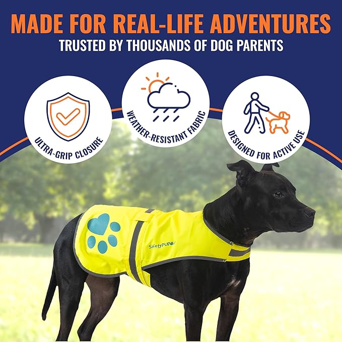 Dog Reflective Vest – Hi-Vis Fluorescent Visibility That Helps to Safeguard Your Pet On/Off Leash in Urban & Rural Areas (Yellow, Small)