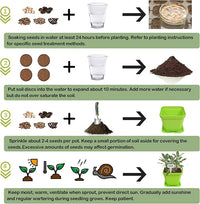 10 Herb Seeds Garden Starter Grow Kit with Green Pots, Markers, Nutritional Soil, Watering, Herb Clipper, Complete Indoor Potted Plant Growing Set for Kitchen DIY