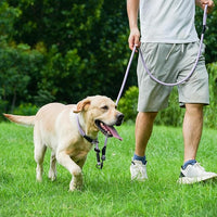 Rope Dog Leash, 4 ft Heavy Duty Dog Leash with Aviation Aluminum Auto Locking Carabiner, Strong Nylon Pet Lead for Small, Medium, Large Dogs (Rose Red, 4FT)