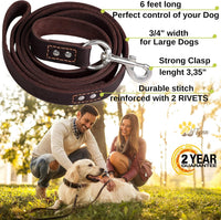 ADITYNA Leather Dog Leash for Large, and Small Dogs - L - 6 ft x 3/4 inch / Brown - image 2