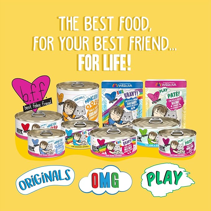 Weruva B.F.F. Play - Best Feline Friend Paté Lovers, Aw Yeah!, Chicken Checkmate with Chicken, 2.8oz Can (Pack of 12)