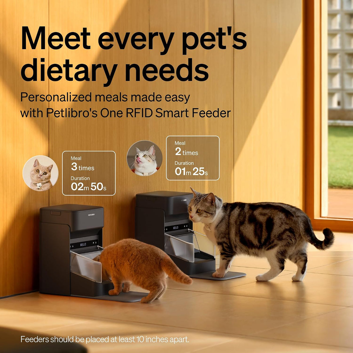 PETLIBRO RFID Automatic Cat Feeder - Black / 3L*2 Packs - image 3