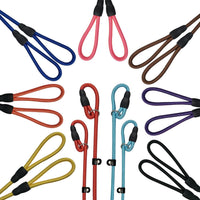 FOVRLZSE 5-Pack Dog Slip Leashes 4.6FT Nylon Training Lead - Master Hue