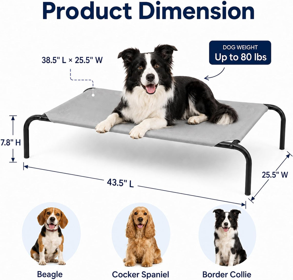 Raised Pet Cot for Small Pets – Essentials for Dogs - Medium / Grey - image 2