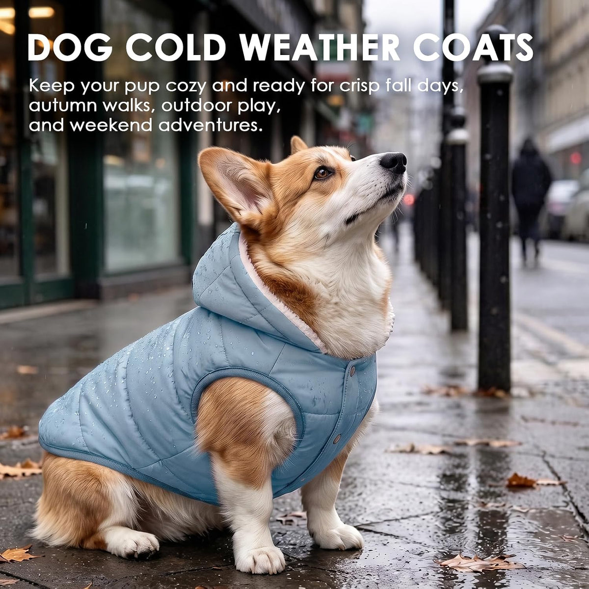 Dog Winter Coat,Warm Fleece Lined Dog Jacket with Leash Hole & Hood – Essentials for Dogs - light Blue / X-Large - image 3