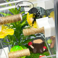 Jumping Spider Enclosure, DIY Insects Habitat - Green 2 - image 4