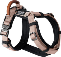 MADE TO ROAM Premium Explorer Harness - Utah Glow / Size 3