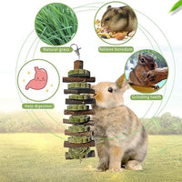 PINVNBY Bunny Chew Toys for Teeth Natural Organic Fruitwood Rabbits Cage Molar Sticks for Chinchillas, Guinea Pigs, Hamsters, Parrots and Other Small Pet Chewing Improve Dental Health