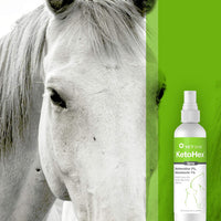VetOne – Essentials for Dogs - image 4