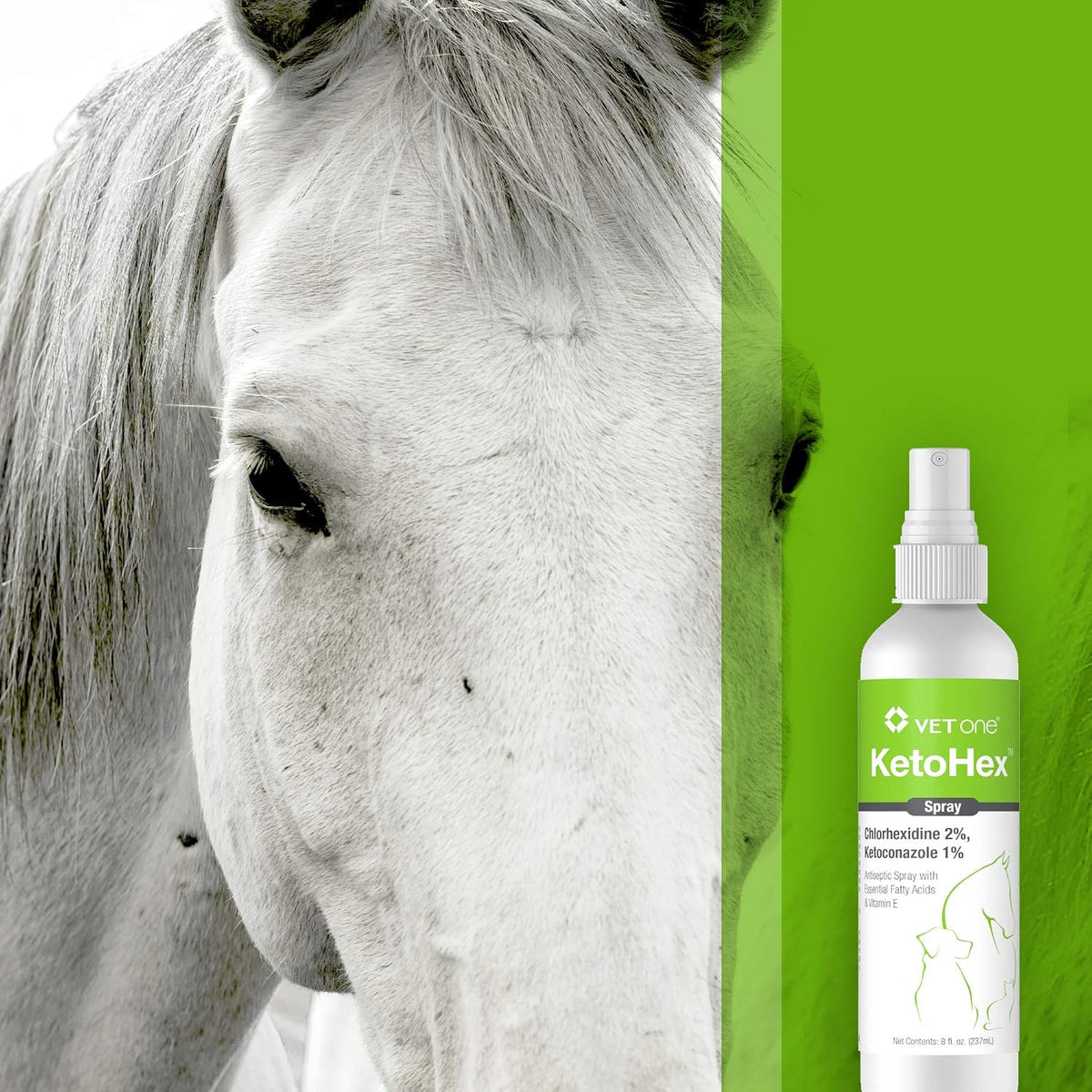 VetOne – Essentials for Dogs - image 4