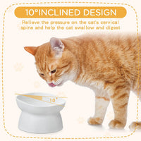 4 Pieces Plastic Tilted Elevated Cat Bowls Raised Cat Food Bowls - White - image 3