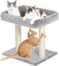 19" Small Cat Tree with Scratching Post for Indoor Cats with Perch – Essentials for Cats - Light Gray