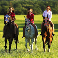 Qualirey12 Pieces Horse Fly Mask Bulk Comfortable Elasticity Mask for Horses with Ears Net UV Protection Breathable Horse Supplies Face Covering for Horse Pony and Foal (Geometric Patterns, Medium)