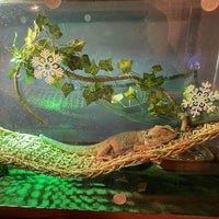 Bearded Dragon Hammock,Lizard Lounger Reptile Tank Hanging Plants Climbing Jungle Vines Flexible - Type：Hammock with wooden bridge(B) - image 4