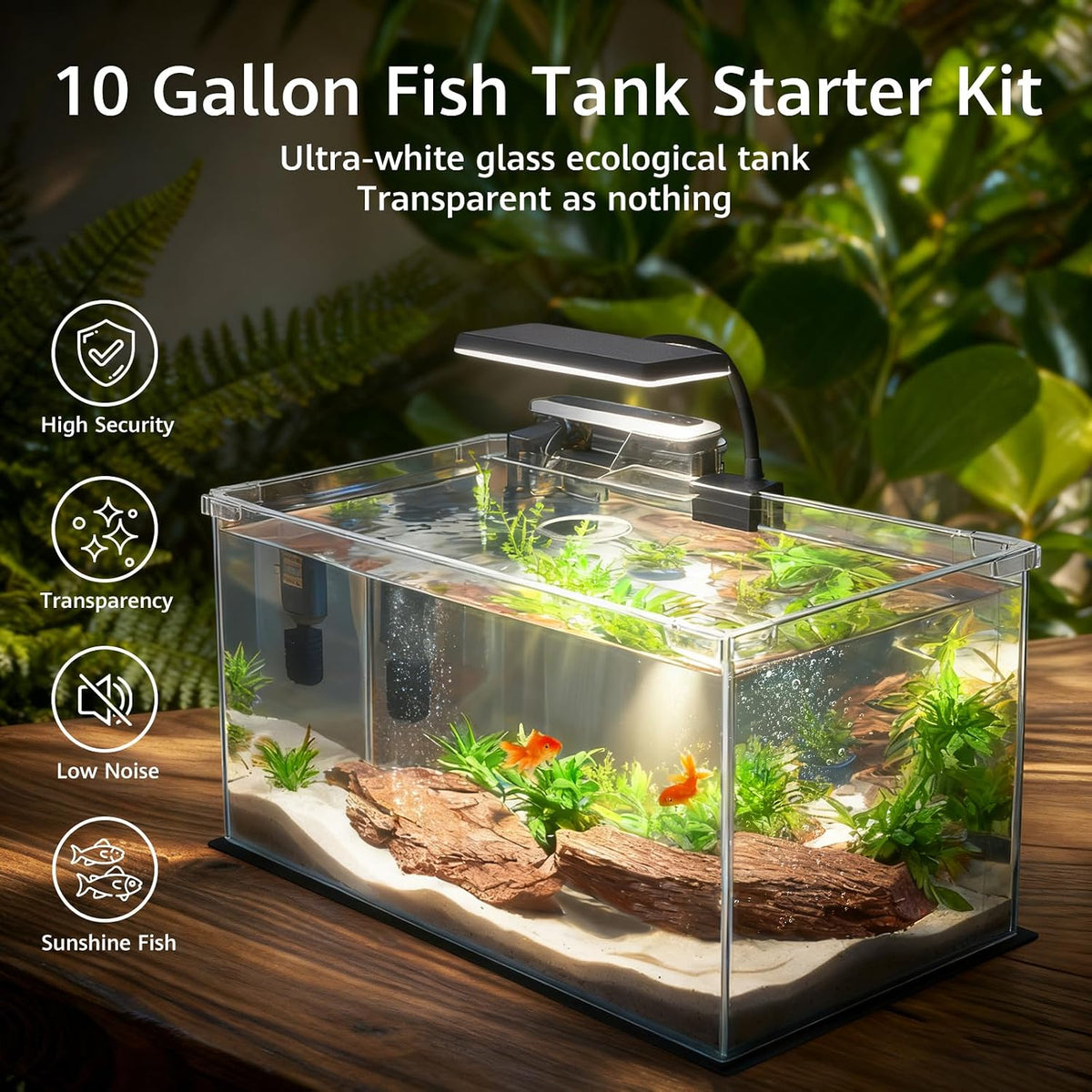 Vimvins 5 Gallon Glass Small Fish Tank with Filter Light and Lid - 10 Gallon - image 3