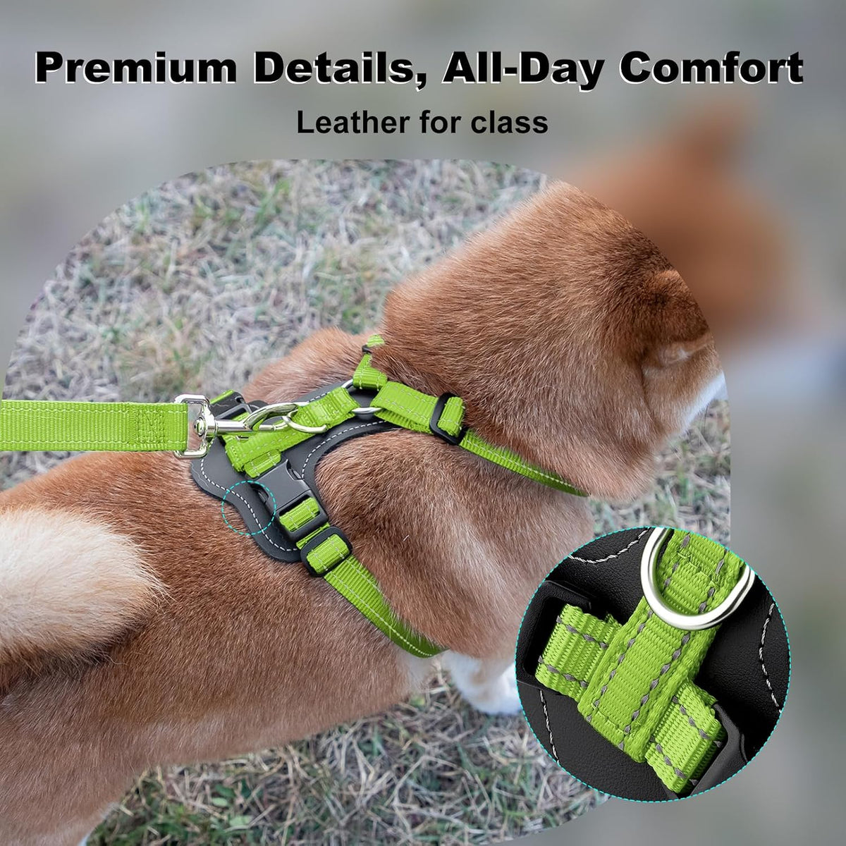 Plutus Pet No Pull Dog Harness with Leather Accents - M / Green - image 2