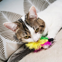 Cat Feather Toys Refills, 6 Pieces Handmade Da Bird Feathers Refill, Cat Wand Replacement Feather - D-8 PCS Feather Refills - image 3