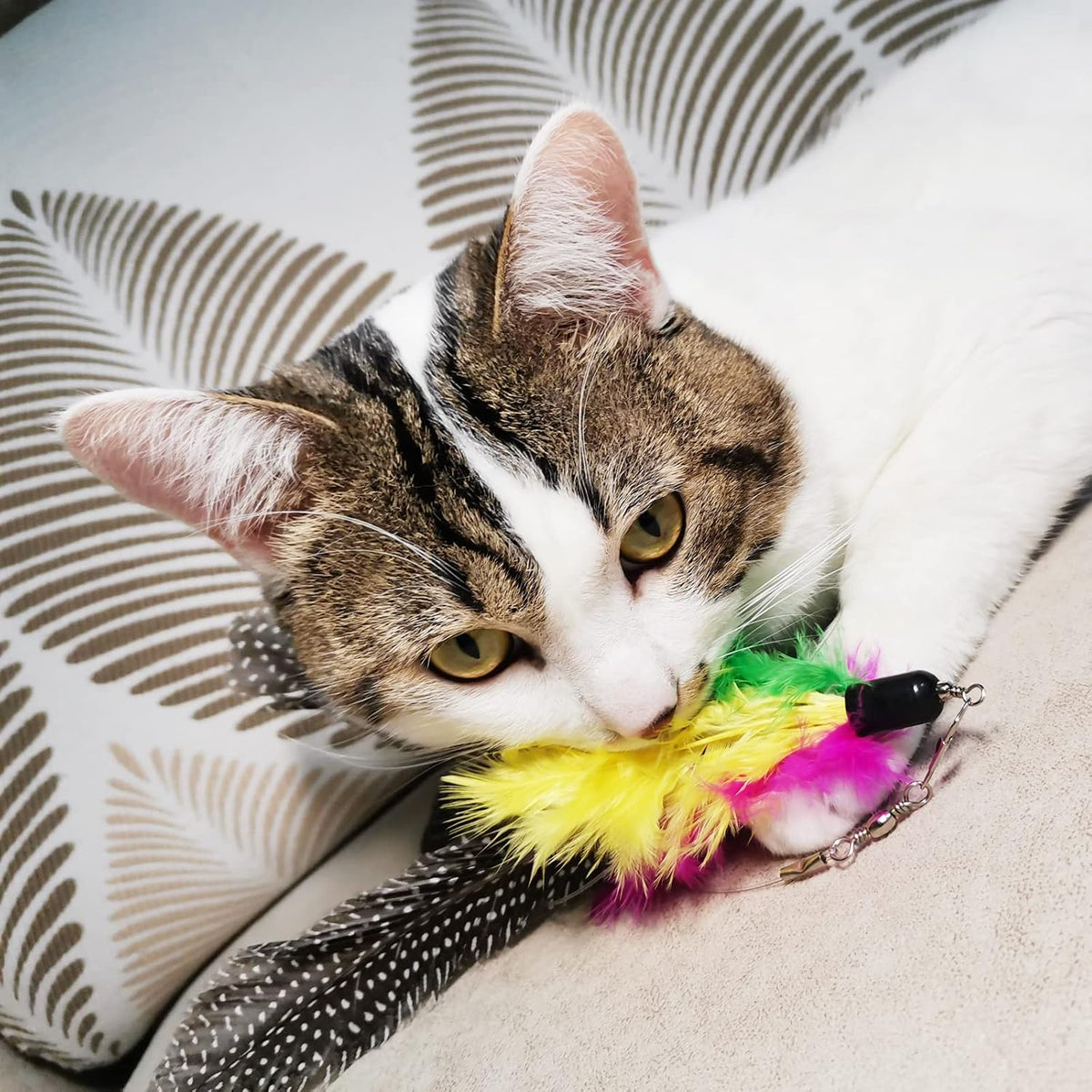 Cat Feather Toys Refills, 6 Pieces Handmade Da Bird Feathers Refill, Cat Wand Replacement Feather - D-8 PCS Feather Refills - image 3