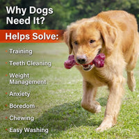 Apasiri Dog Toys for Aggressive Chewers Large Breed 2-Pack: Heavy Duty Chew Toys for Medium Dogs Indestructible Orange Dog Gift with Peanut Butter Flavor