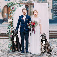 GOYOSWA Dog Tuxedo Suit Wedding Bandana Collar with Bow Tie - Small: Neck 12.5"-21" (Pack of 3) - image 2