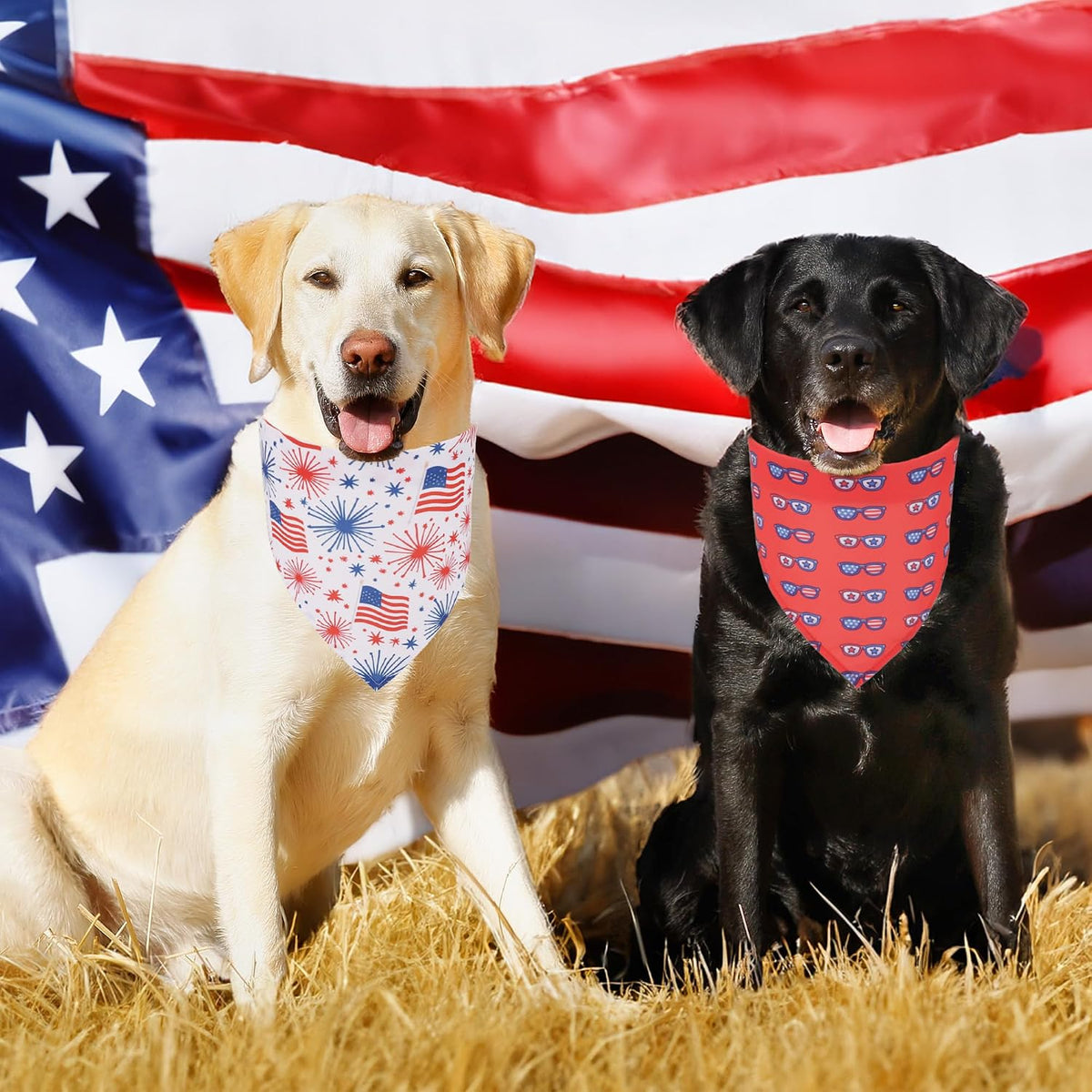 Halloween Dog Bandanas, L - Large / American Flag - image 3
