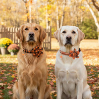 ADOGGYGO Fall Plaid Dog Collar 2 Pack, Thanksgiving Dog Bow Tie - X-Large / Fall Flower - image 3