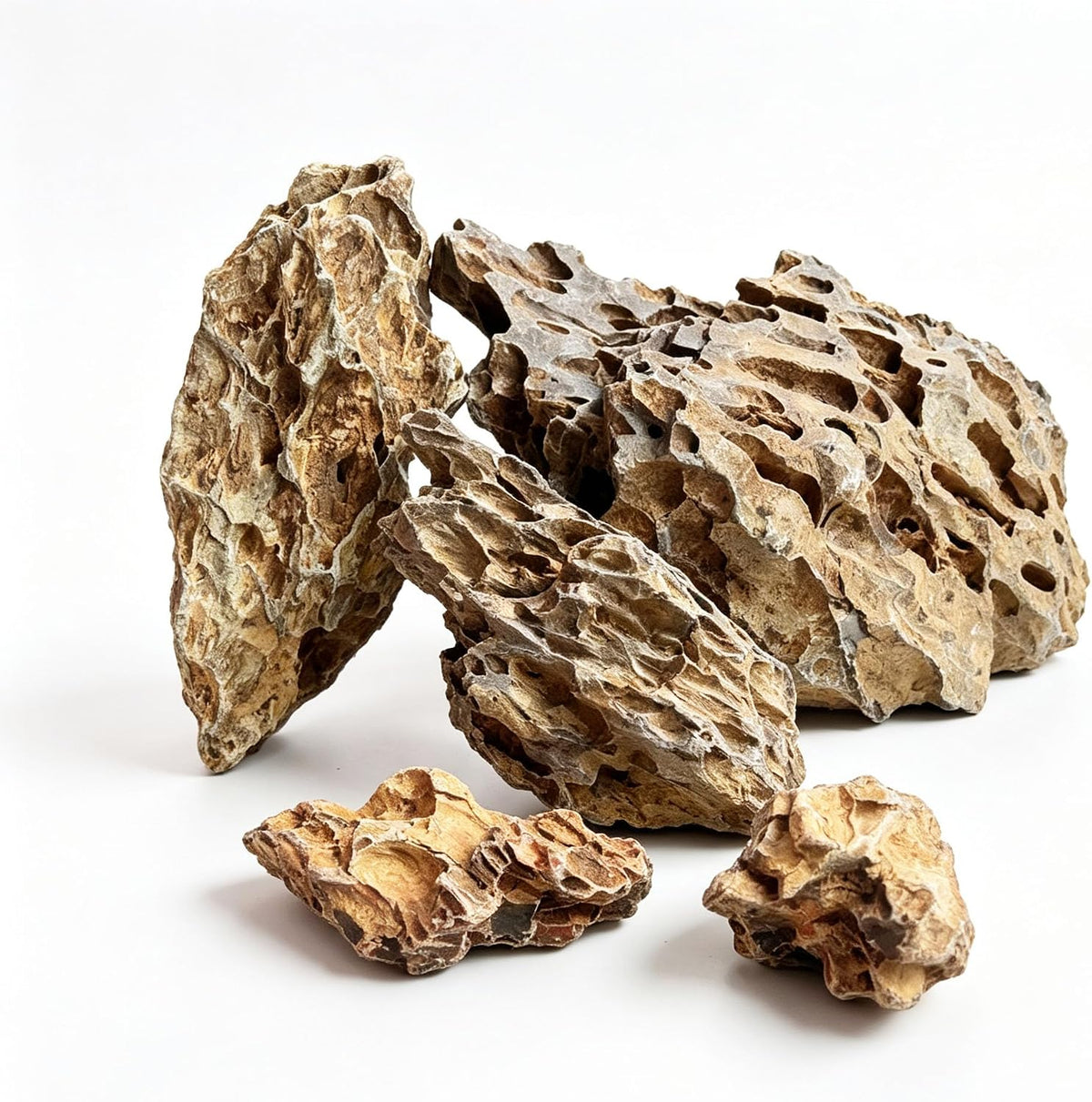 Dragon Stone Aquascaping Rocks, Aquarium Stone Set - 1 lb (2–4") / Dragon Stone