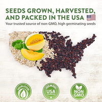 HOME GROWN 𝗨𝗦𝗔 𝗣𝗥𝗘𝗠𝗜𝗨𝗠 Melon Seeds Variety Pack 5 𝗡𝗢𝗡-𝗚𝗠𝗢 Heirloom Vegetable Seeds, Watermelon Cantaloupe Honeydew Sugar Baby & Melon, High Germination for Planting Home Garden Indoors