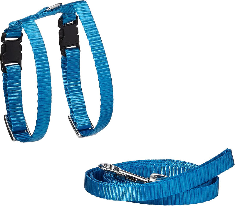 Marshall Ferret Harness and Lead Set, 48", Black Color - Blue
