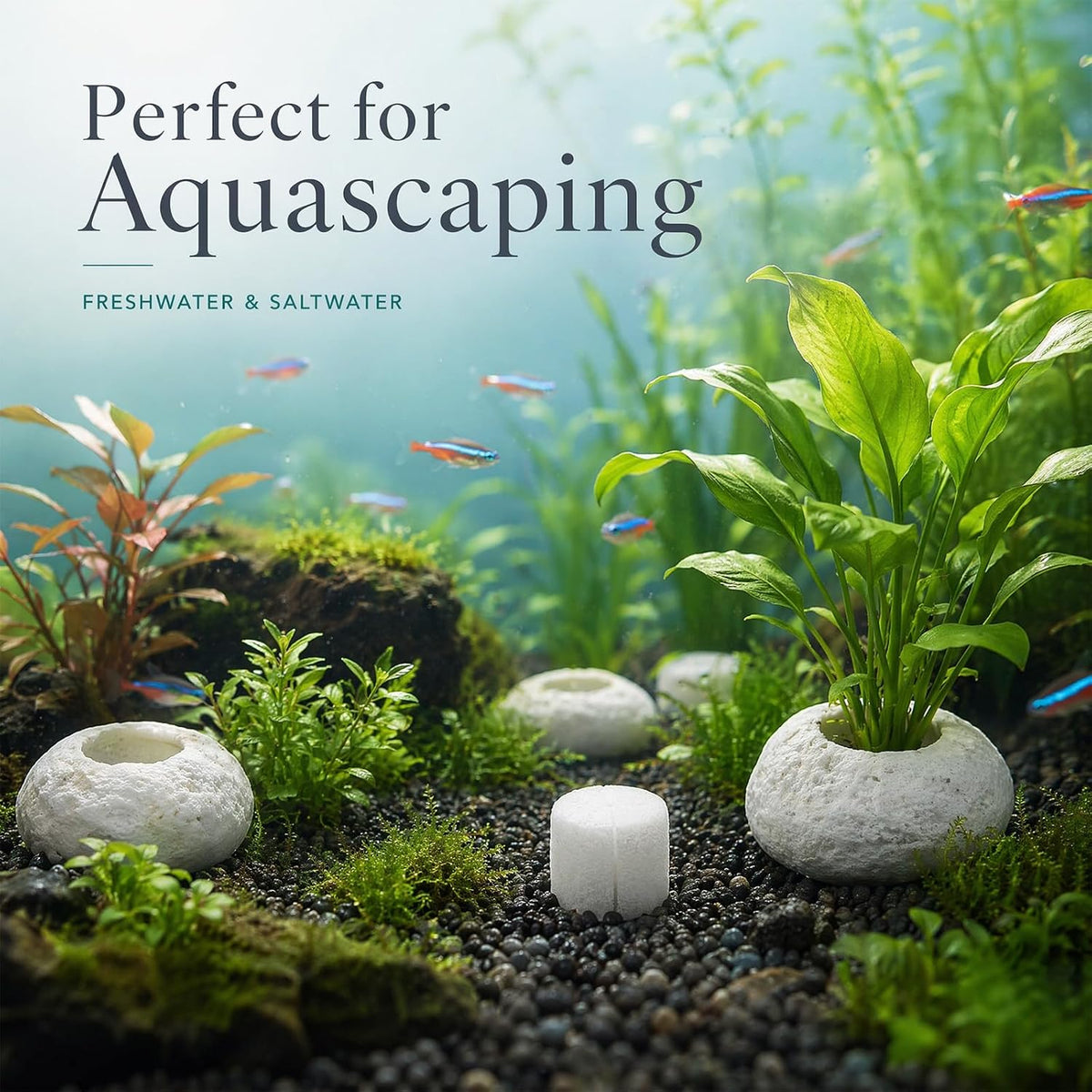 Natural River Stone Plant Weights for Aquarium - 1.2″ Hole 6pcs - image 2