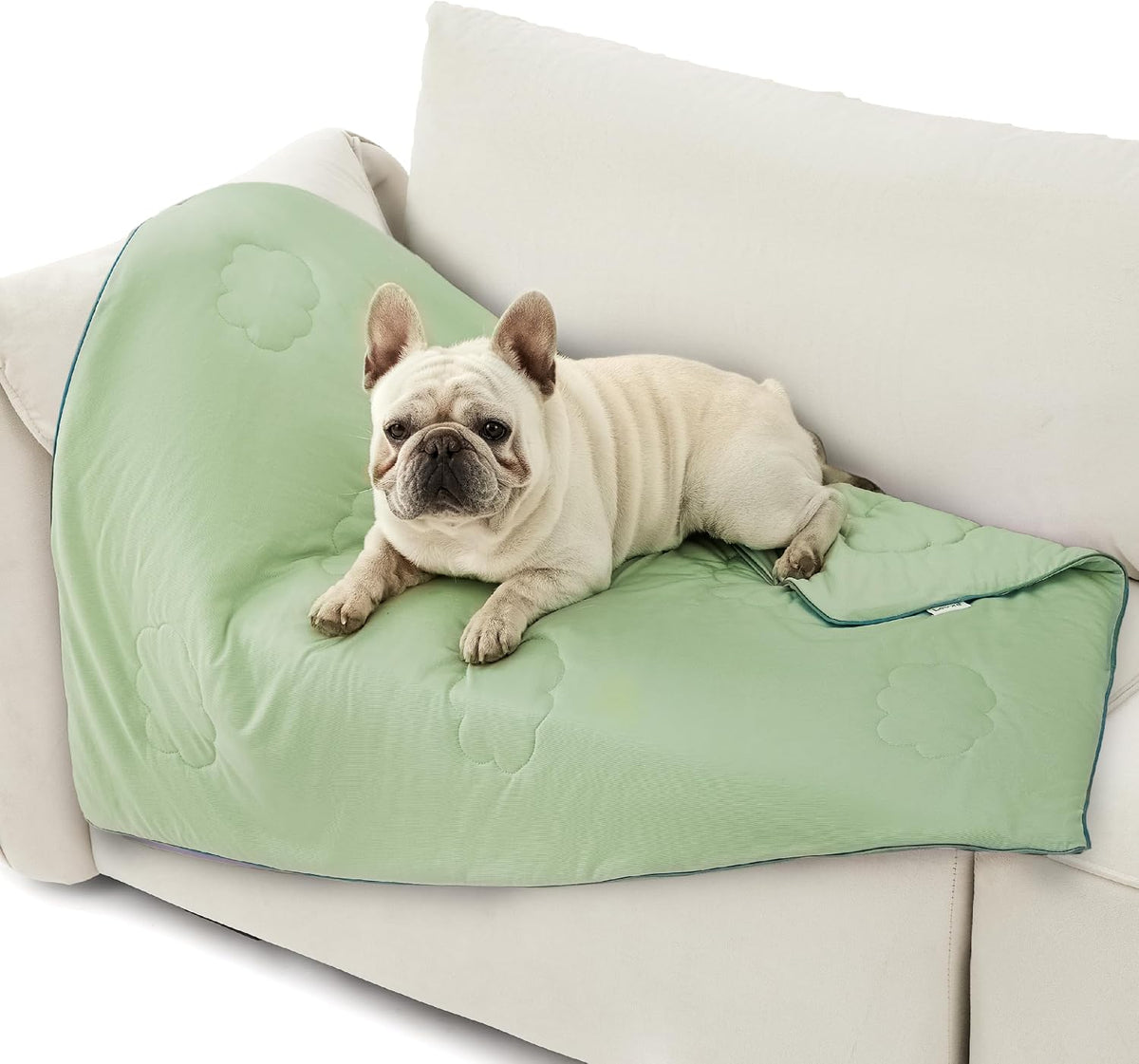 LE SURE ApexCloud Premium Cooling Blankets for Medium Dog Q-MAX>0.4 - M(30x40") / Green