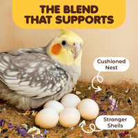 SunGrow Finch Coconut Fiber - Coconut Fiber with Herbs, 5 ounce - image 4