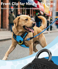 Joytale No Pull Dog Harness Medium Sized Dog, Front Clip - X-Large / SkyBlue - image 2