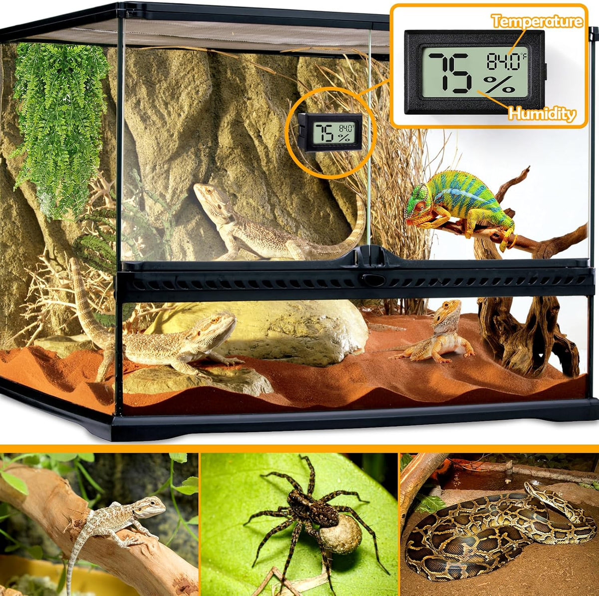 2 PCS Rectangle Reptile Thermometer and Humidity Gauge for Bearded - Black Rectangle - image 2