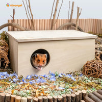 Niteangel Birch Chamber-Maze Hamster Hideout - 2 Chamber Hideout-Large - image 3