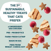 Shameless Pets Crunchy Cat Treats - Kitty Treats for Cats with Digestive Support, Natural Kitten Treats with Real Chicken, Healthy Flavored Feline Snacks - Cran You Say Chicken, 3-Pk