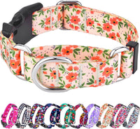 Martingale Dog Collar with Buckle - Creamy Natural / Medium