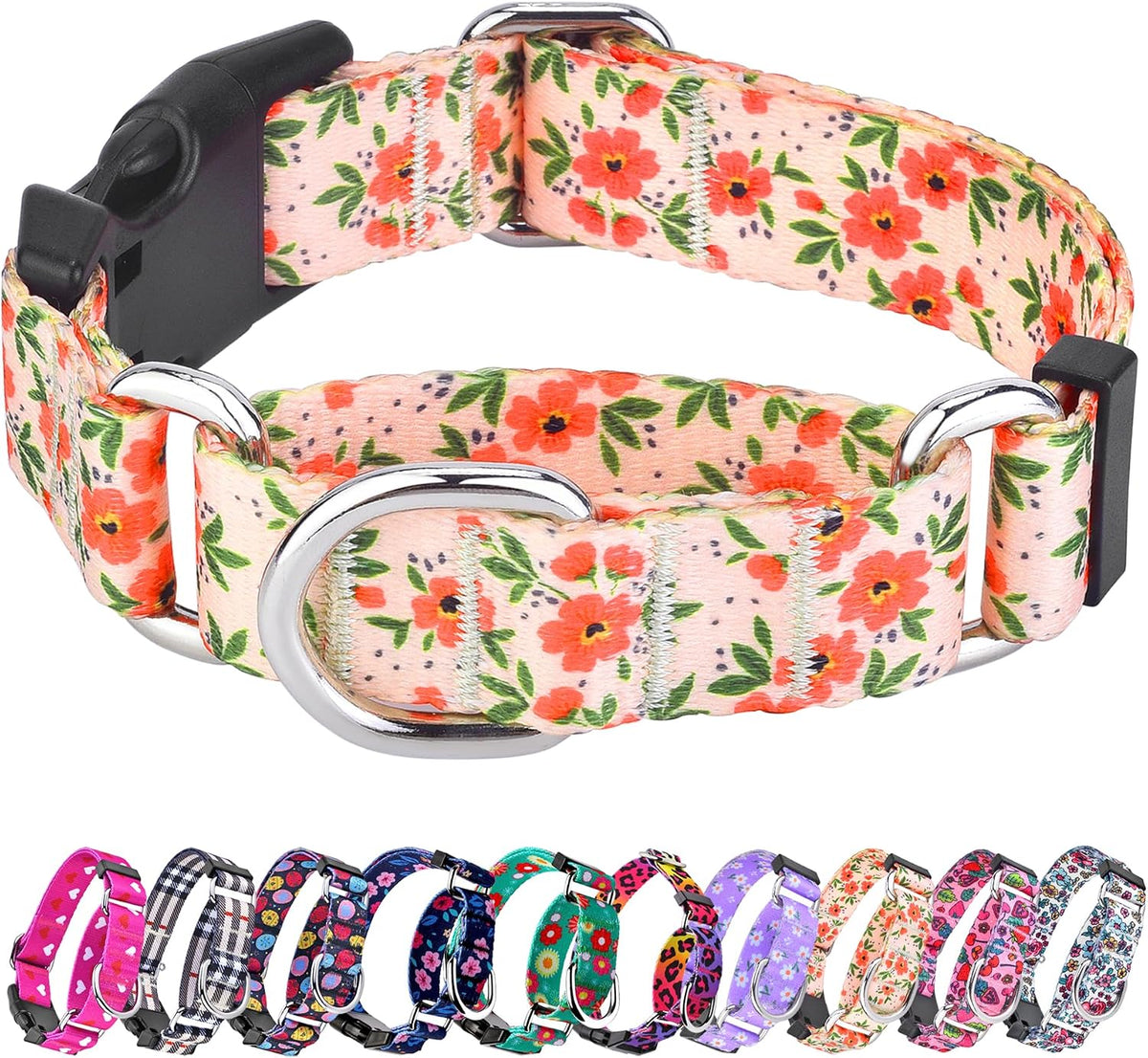 Martingale Dog Collar with Buckle - Creamy Natural / Medium