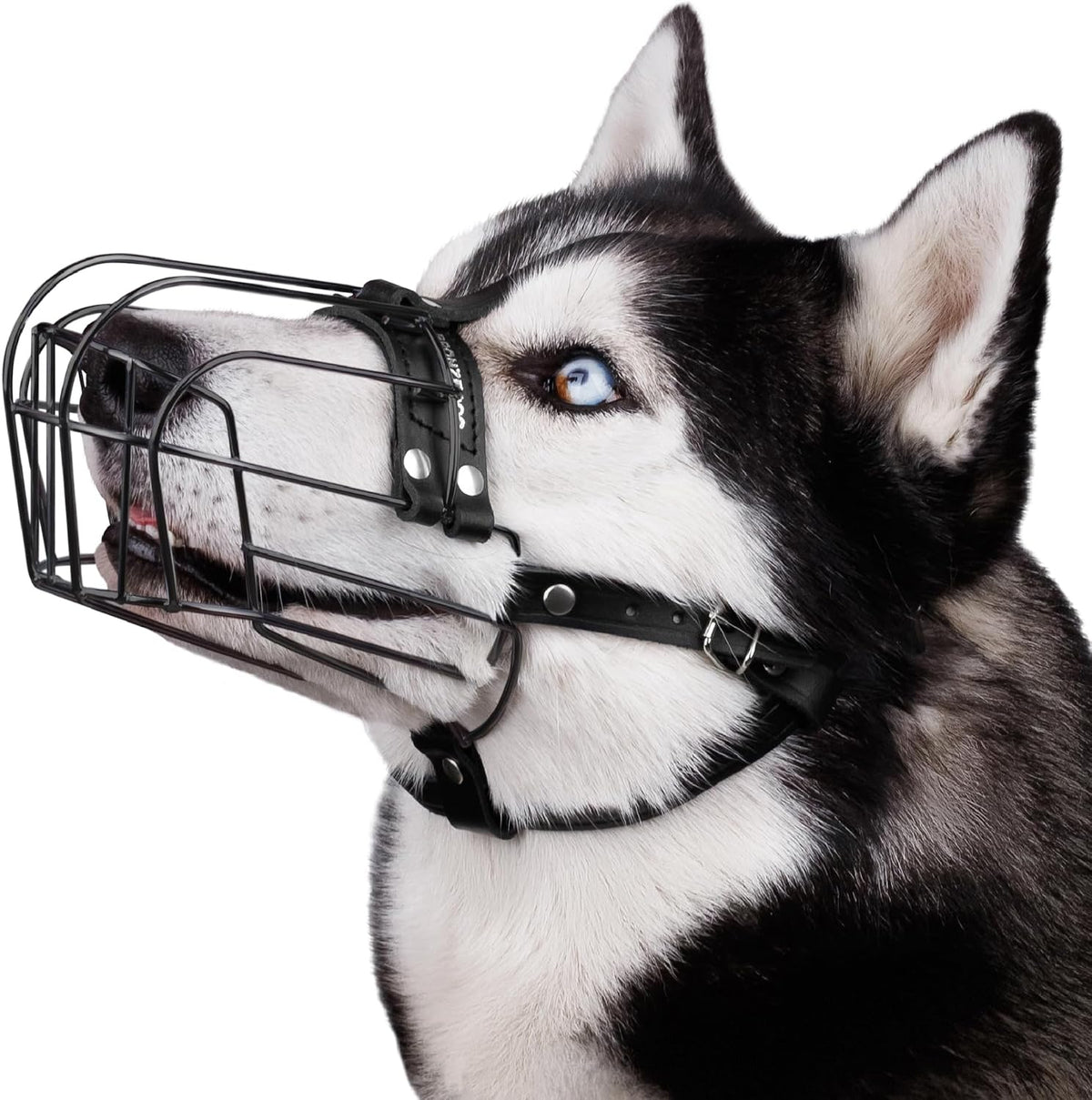 Stainless Steel Wire Basket Dog Muzzle for Husky – Essentials for Dogs - Polyvinyl Chloride (PVC) / Husky