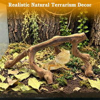 VCEPJH Snake Climbing Branch - Grape Wood (L:13.7"-15.7"-2pcs) / 2 - image 4