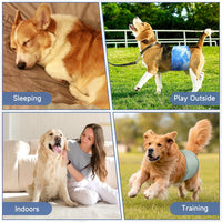 5 Pack Dog Diapers Male, High Absorbing Dog Wraps - Small / Star - image 4