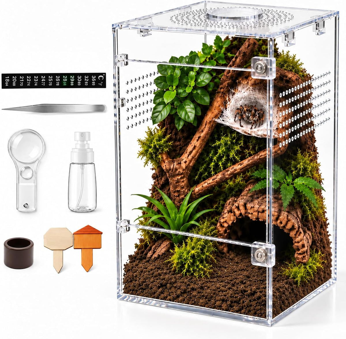 Jumping Spider Enclosure Starter Kit - Clear / Large