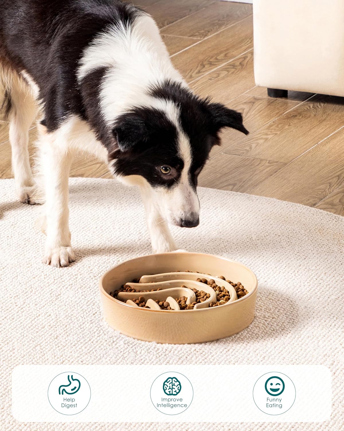 vancasso Slow Feeder Dog Bowl - Brown / 3 Cups - image 2