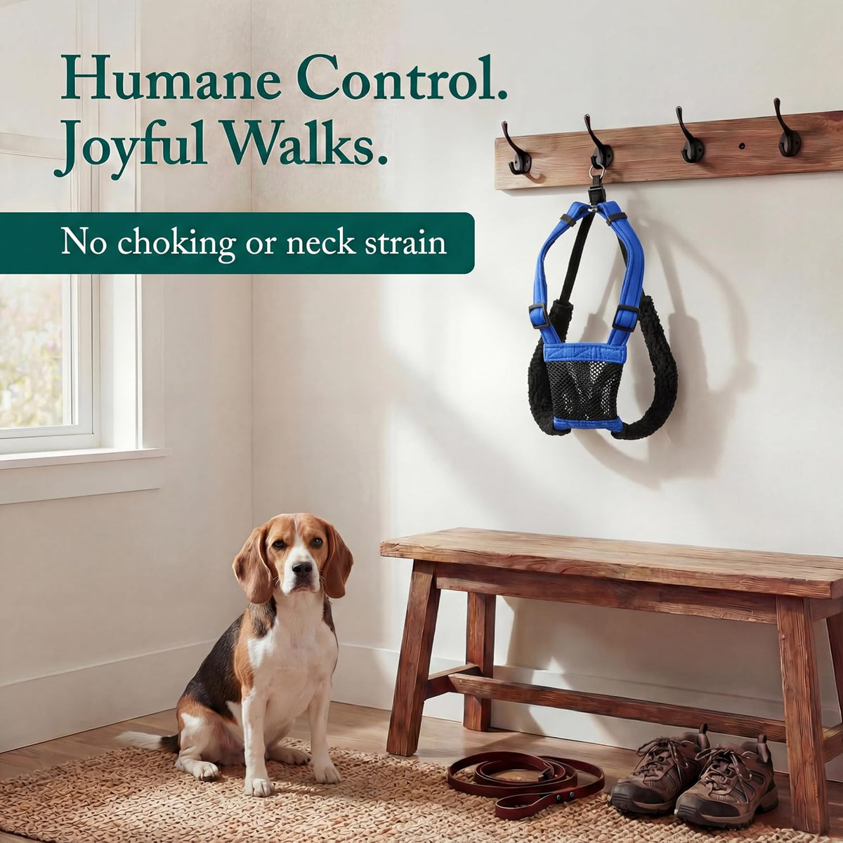 Sporn No Pull Dog Harness - Medium / Blue - image 2
