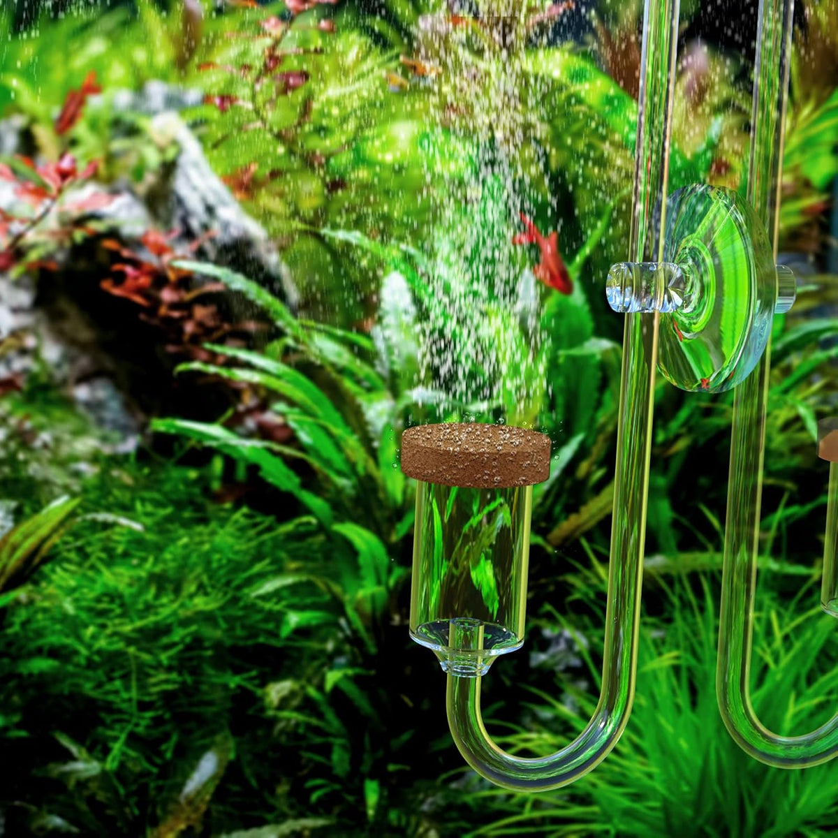 Fzone Neo CO2 Diffuser with Customized Ceramic from South Korea – Essentials for Fish - L-24mm - image 4