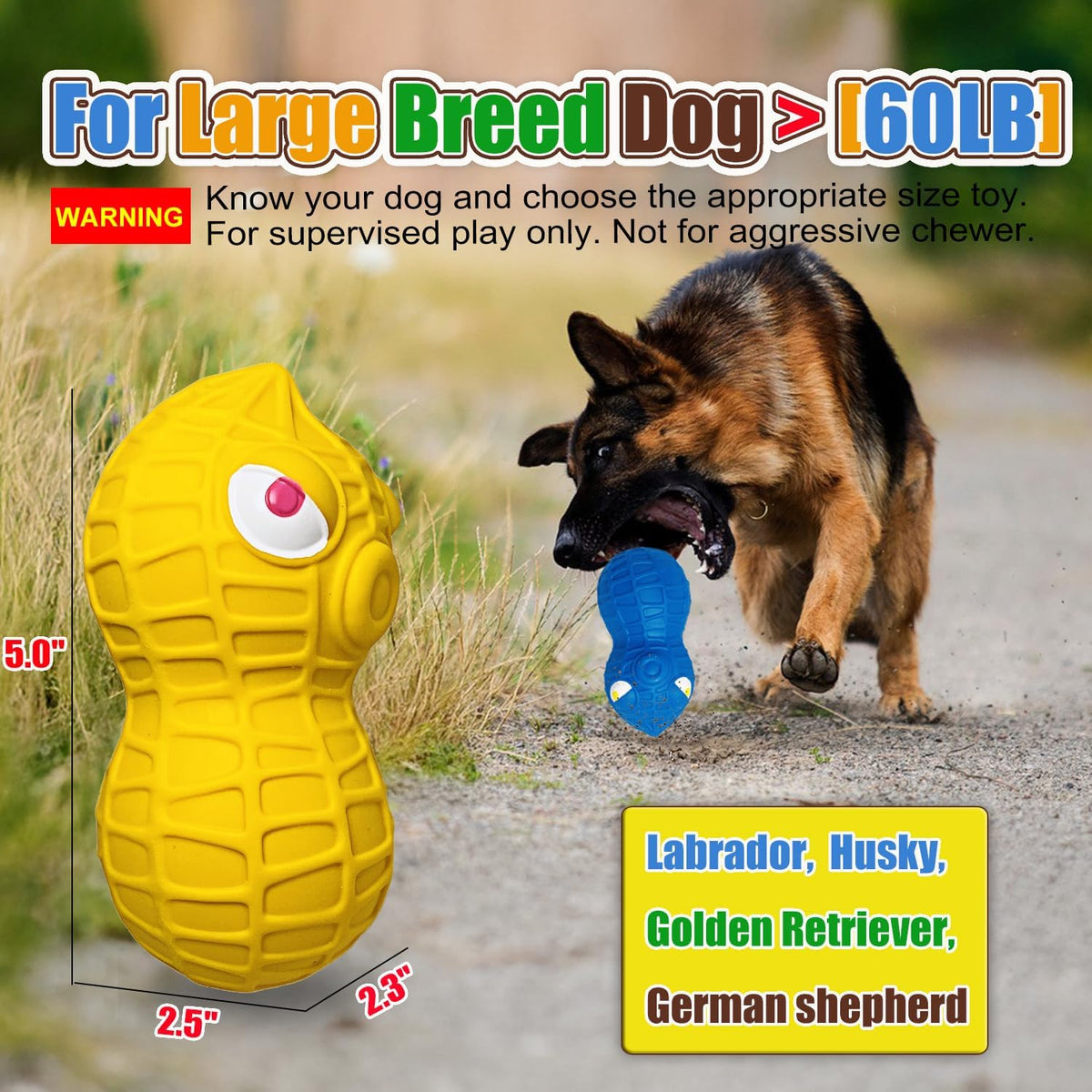 Latex Squeaky Dog Toys for Medium Dogs - Blue, Yellow, Rose Red / Large - image 2