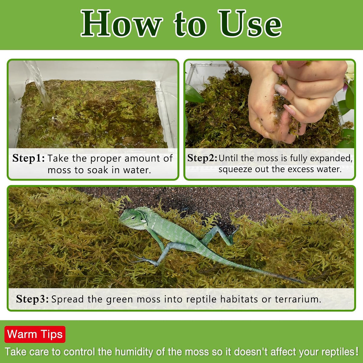 9 OZ Sphagnum Moss for Reptiles, Green Terrarium Moss - 2.2LB - image 4