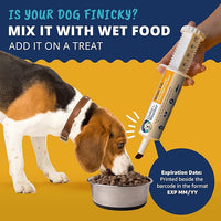 Under the Weather Pet | Ready Cal for Dogs 100cc | High Calorie Supplement | Weight Gainer and High Calorie Booster | 10 Vitamins, 7 Minerals & Omega Fatty Acids