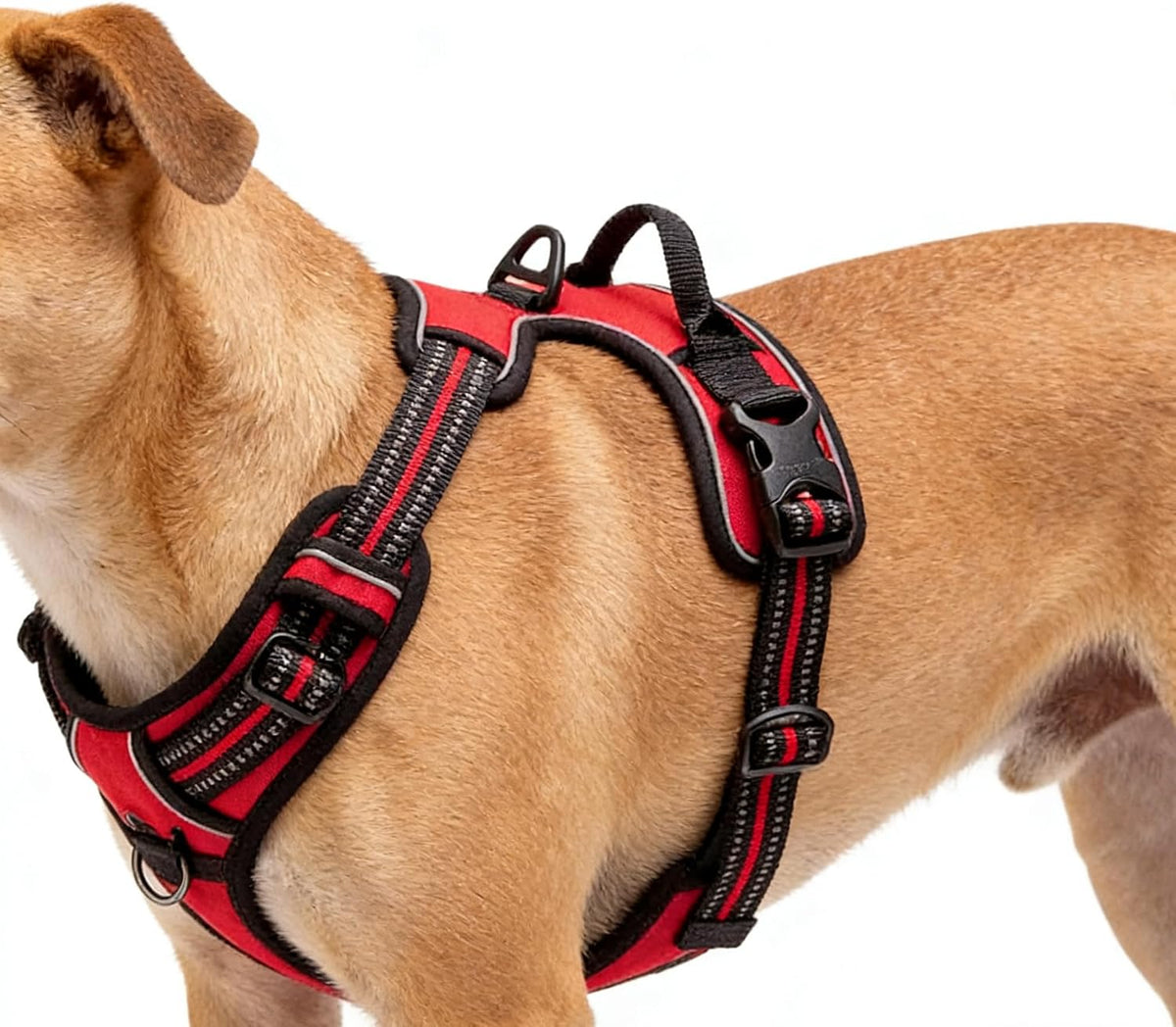 Blue No-Pull Dog Harness with 2 Leash Clips，Soft Padded Vest - Large / Red - image 3